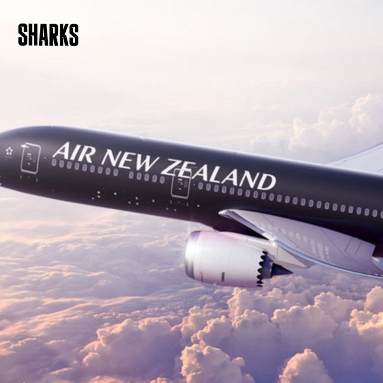 Air New Zealand cut its annual profits estimates on Monday, noting financial headwinds and a cost-of-living crisis leading to weaker earnings in domestic and North American markets, sending the carrier's shares to a near two-year low.