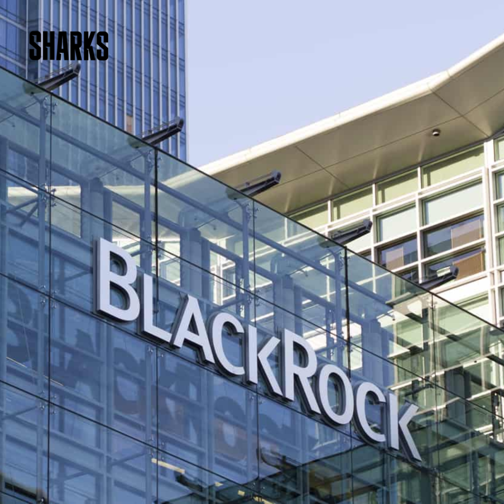 BlackRock's first-quarter earnings climbed on Friday as a rebound in global equity markets braced the company's investment advisory and administration expenses.