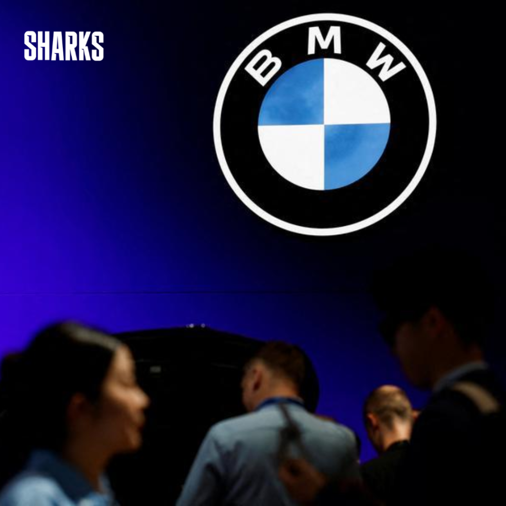 BMW forecasts a modest drop in pre-tax profit for the current fiscal year.