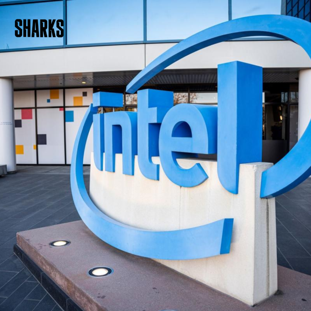 Intel announced that its sales will suffer following the U.S. government's decision to remove some of the chipmaker's