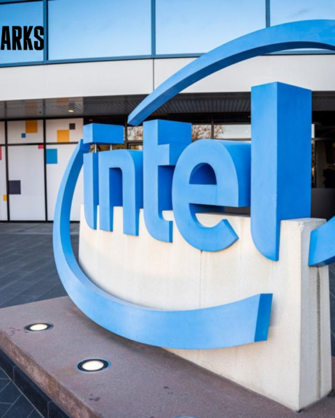 Intel announced that its sales will suffer following the U.S. government's decision to remove some of the chipmaker's