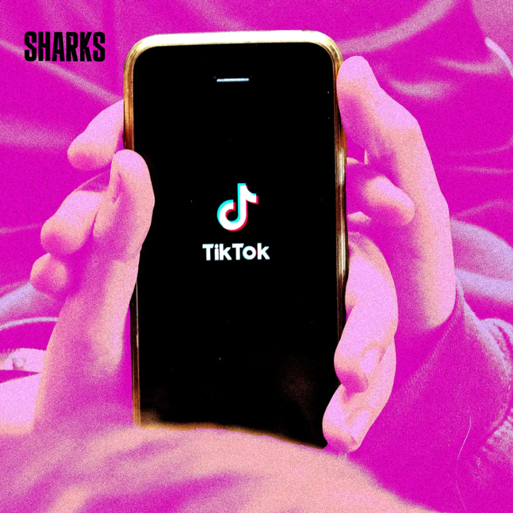 The short-form clip took center stage at tech and social media firms' yearly presentations to advertisers as platforms like Snap and Meta capitalize on TikTok's political uncertainty in the U.S. to take ad dollars from their foe.