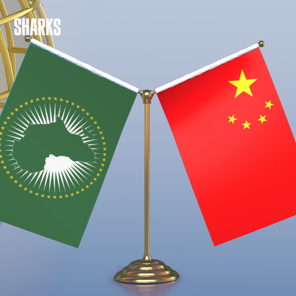 China will hold a summit of 50 African nations in Beijing, encouraging them to increase their imports of Chinese goods.